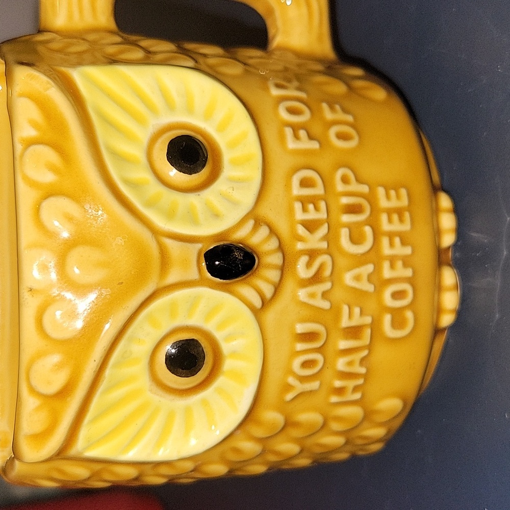 💋5/$25 Owl Funny 1/2 cup coffee mug